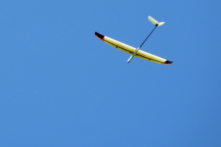 Q11
